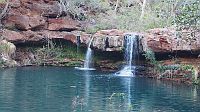 23-Time for a refreshing swim in Dales Gorge at Fern Pool